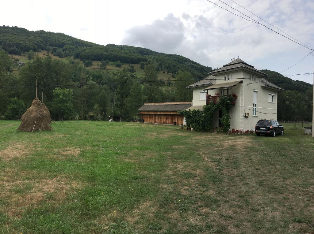 Casa Danut Villa Vidra  Eksteriør bilde